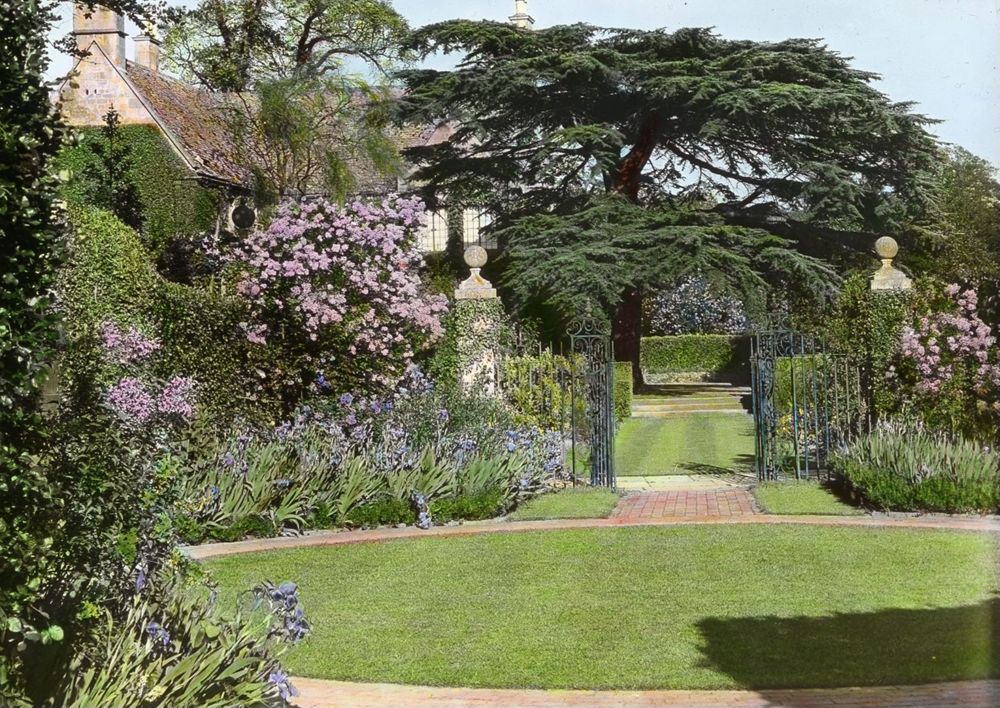 Lantern slide showing Syringa and Blue Iris at Hidcote Manor